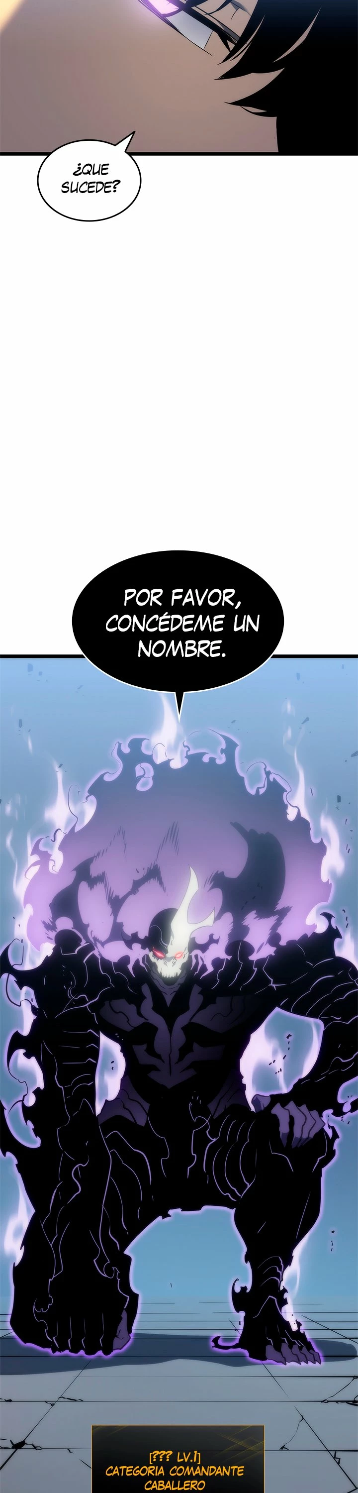 Solo Subiendo de level > Capitulo 147 > Page 491